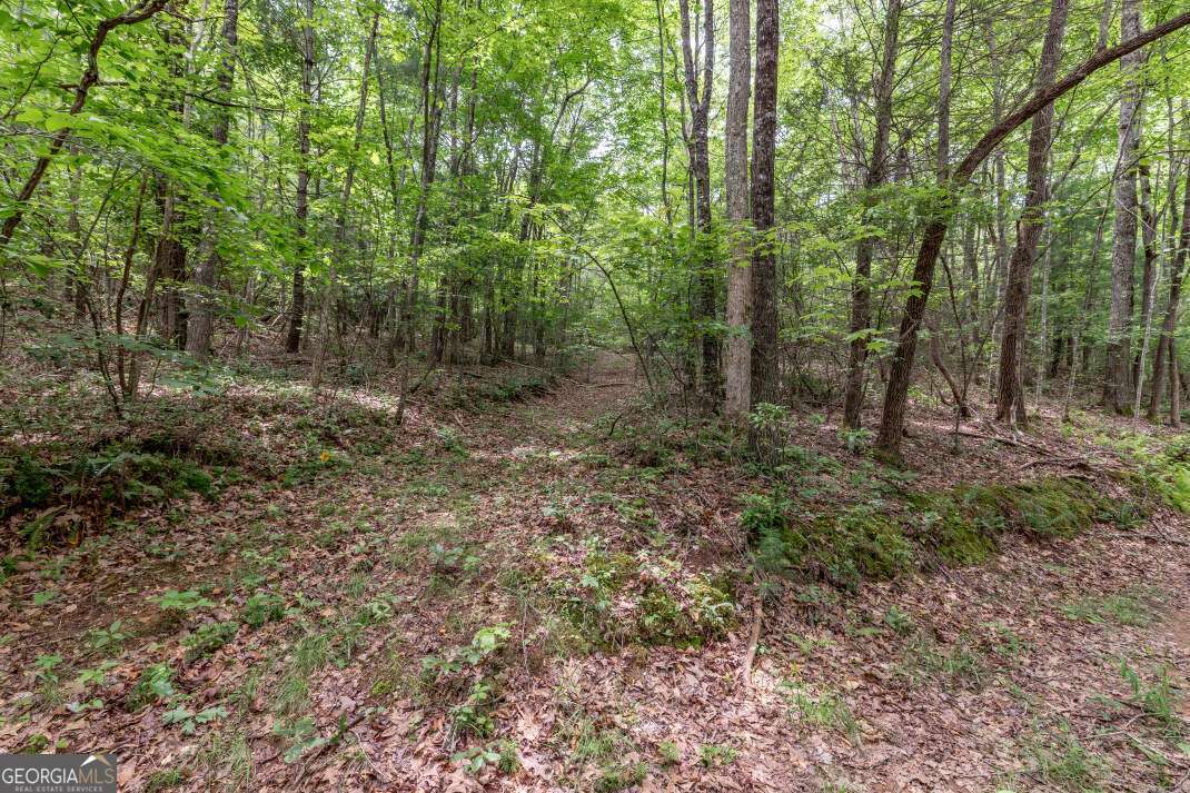 26.18 Ac Green Road Young Harris GA 30582