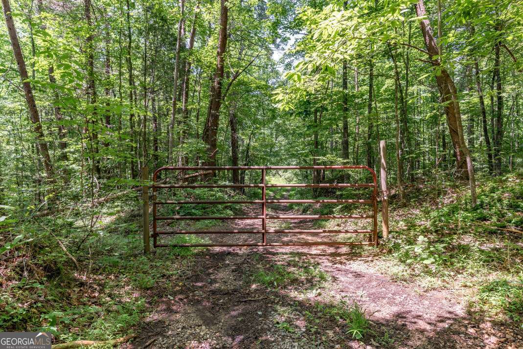 26.18 Ac Green Road Young Harris GA 30582