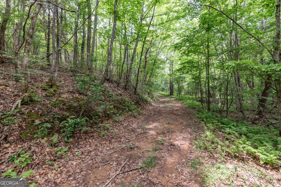 26.18 Ac Green Road Young Harris GA 30582