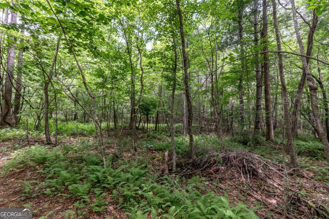26.18 Ac Green Road Young Harris GA 30582