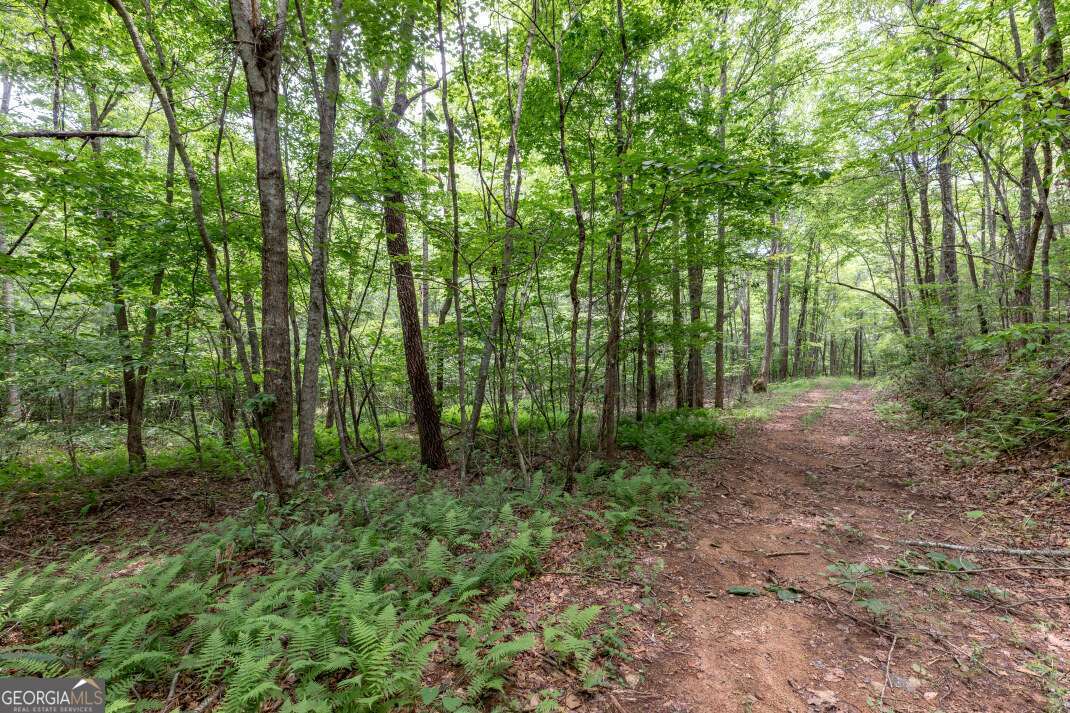 26.18 Ac Green Road Young Harris GA 30582