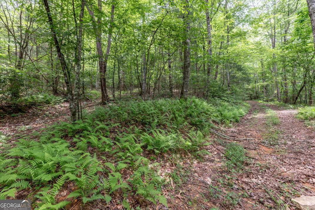 26.18 Ac Green Road Young Harris GA 30582