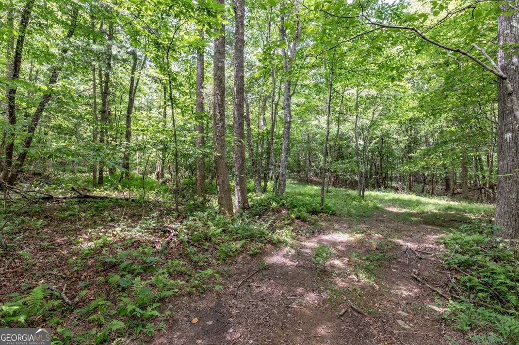 26.18 Ac Green Road Young Harris GA 30582
