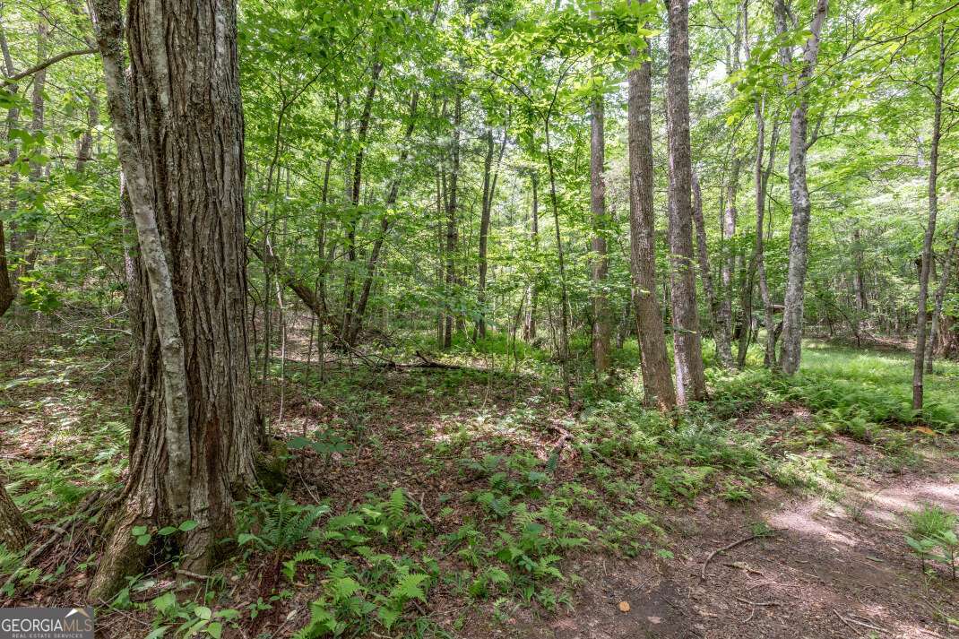 26.18 Ac Green Road Young Harris GA 30582