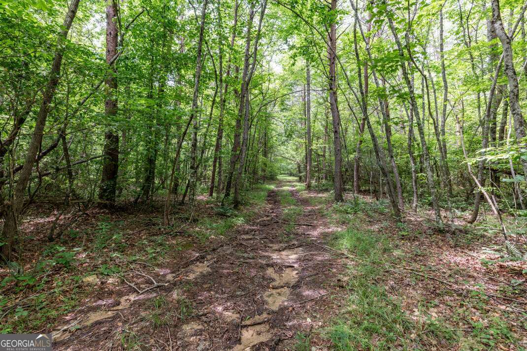 26.18 Ac Green Road Young Harris GA 30582