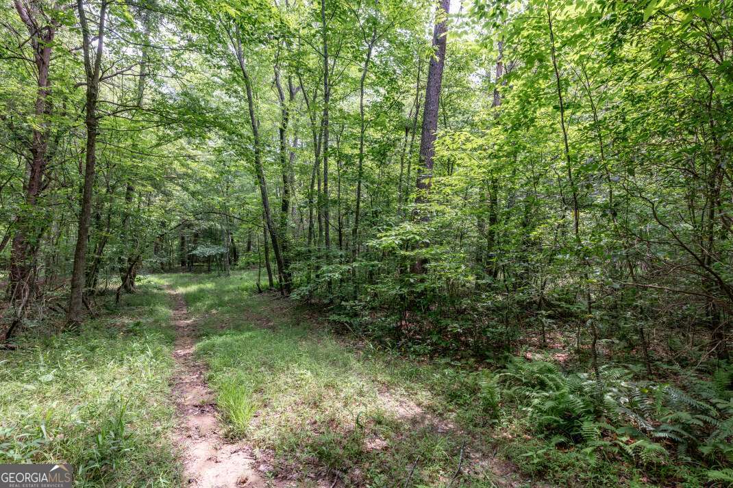 26.18 Ac Green Road Young Harris GA 30582