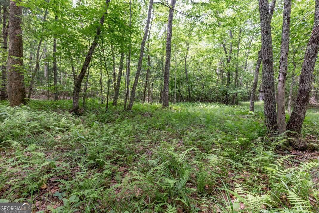 26.18 Ac Green Road Young Harris GA 30582