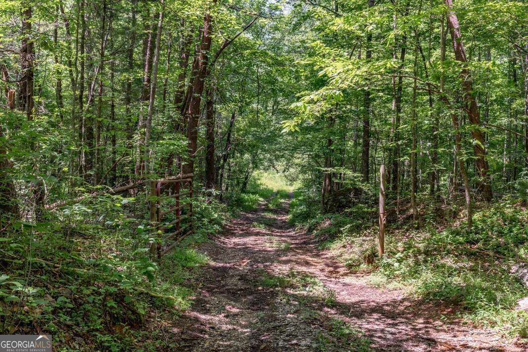 26.18 Ac Green Road Young Harris GA 30582