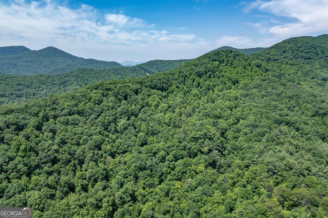 26.18 Ac Green Road Young Harris GA 30582