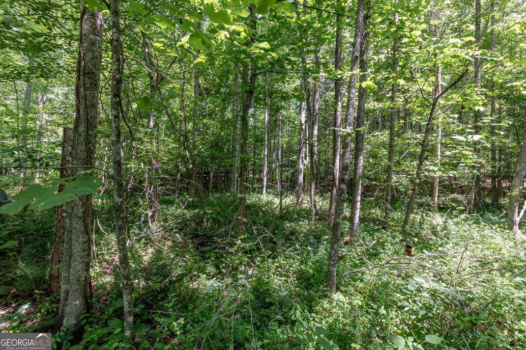 26.18 Ac Green Road Young Harris GA 30582