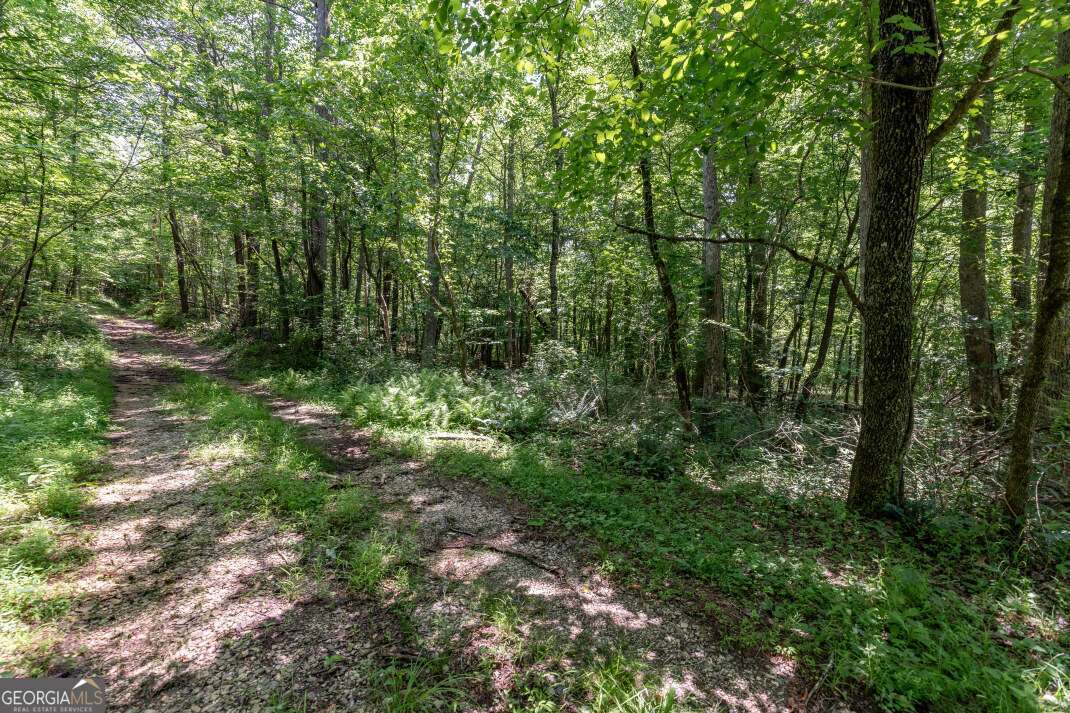 26.18 Ac Green Road Young Harris GA 30582