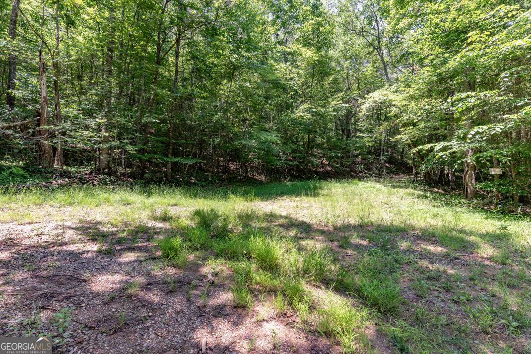 26.18 Ac Green Road Young Harris GA 30582