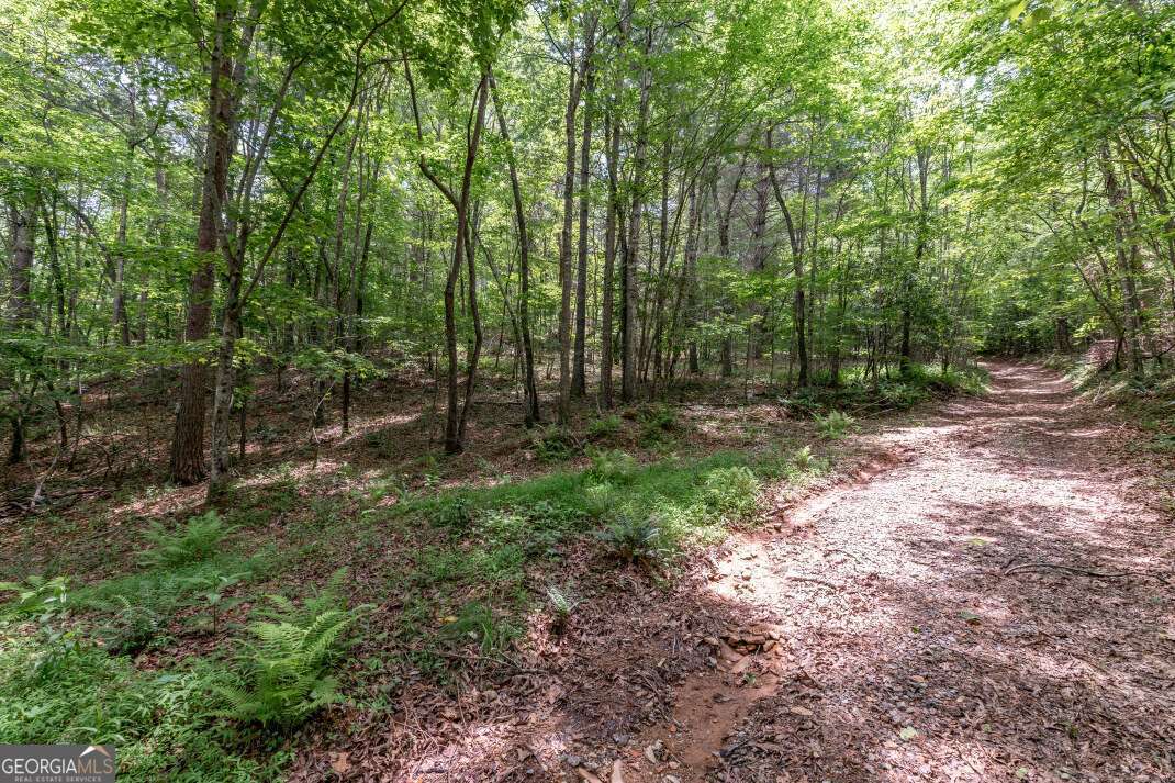 26.18 Ac Green Road Young Harris GA 30582