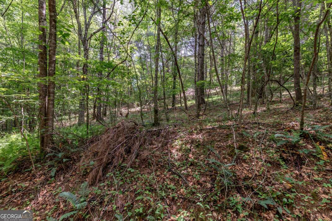 26.18 Ac Green Road Young Harris GA 30582