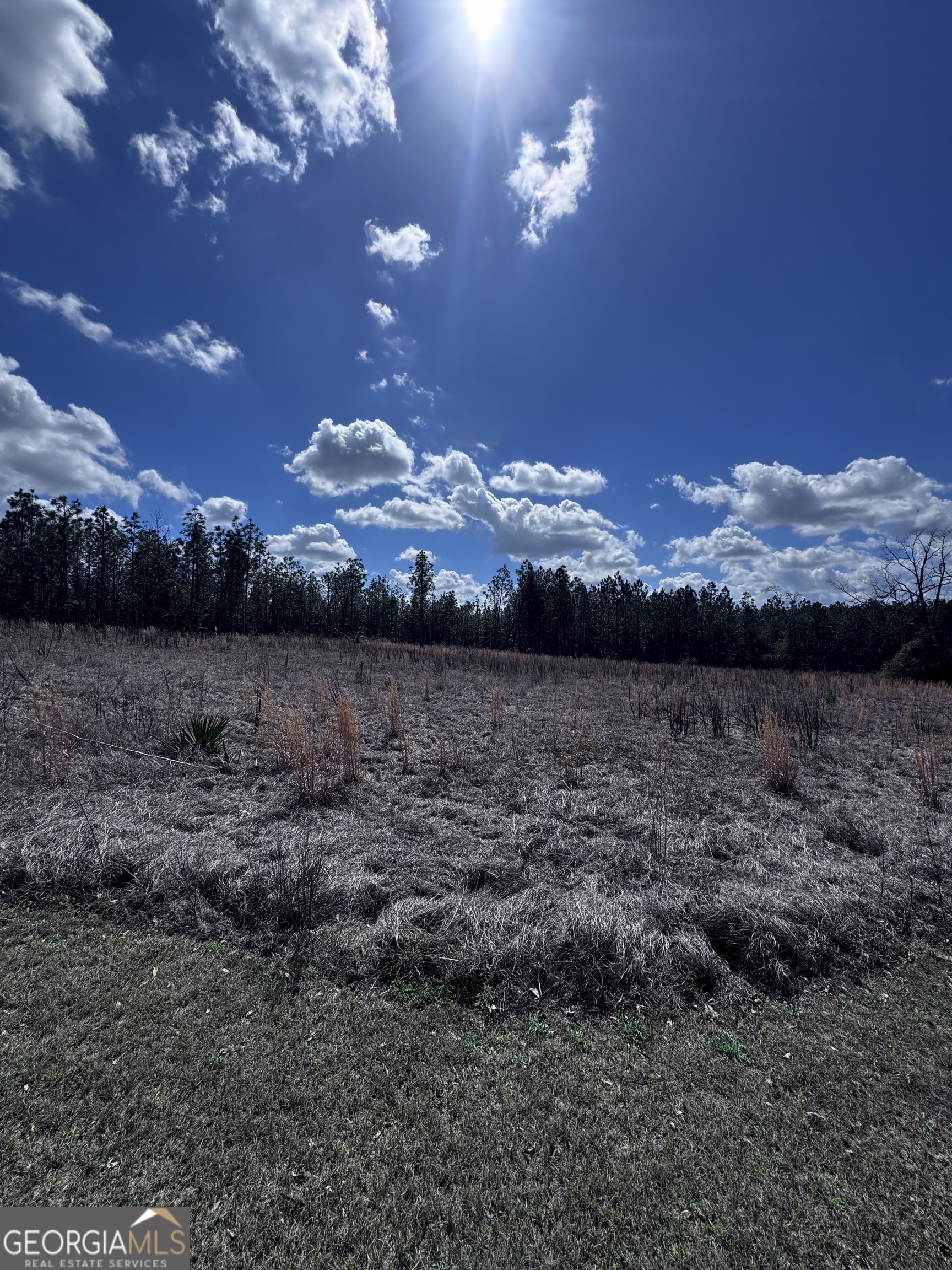 Lot 2 Thompsons Level Road Lyons GA 30436