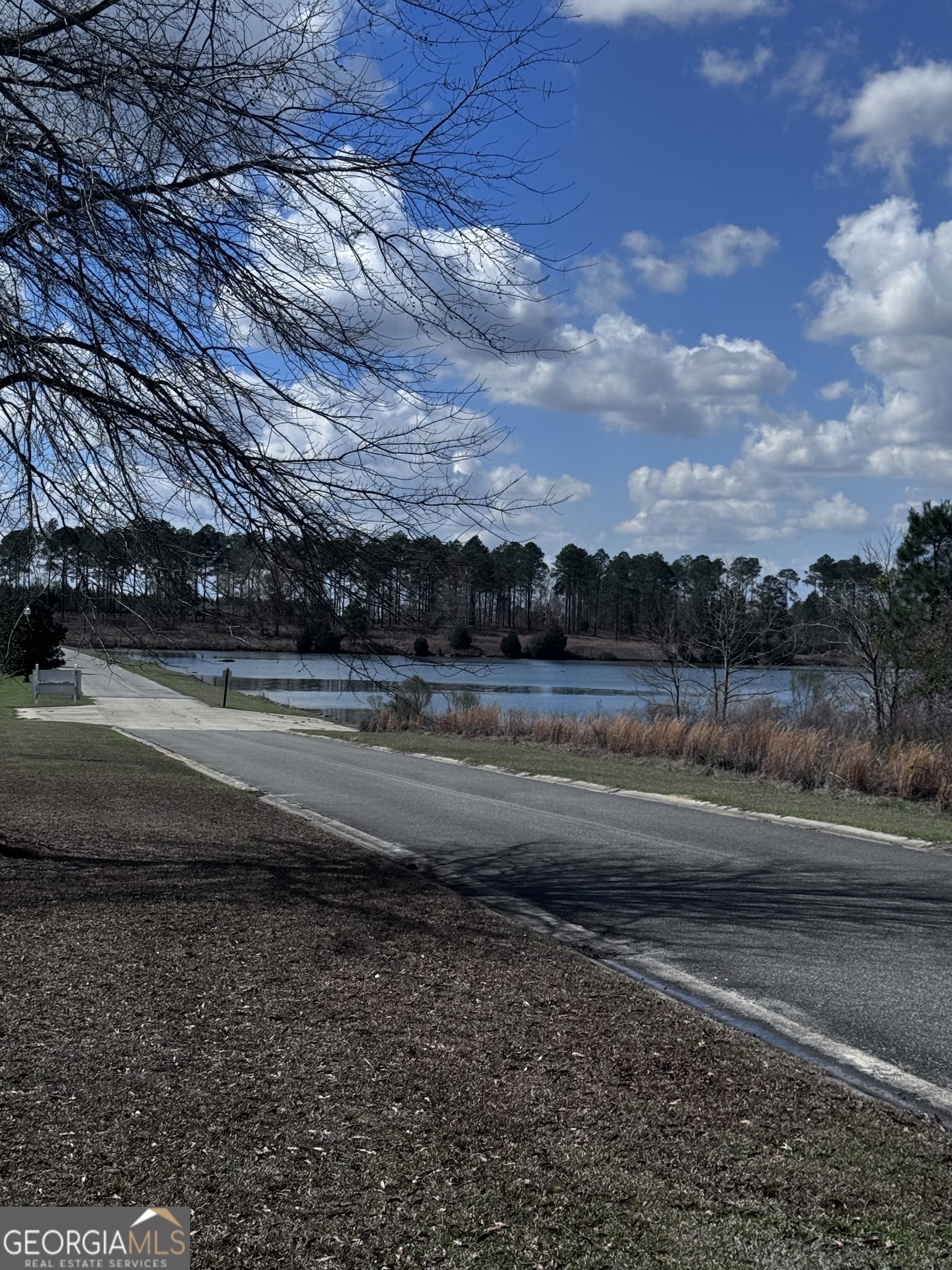 Lot 2 Thompsons Level Road Lyons GA 30436