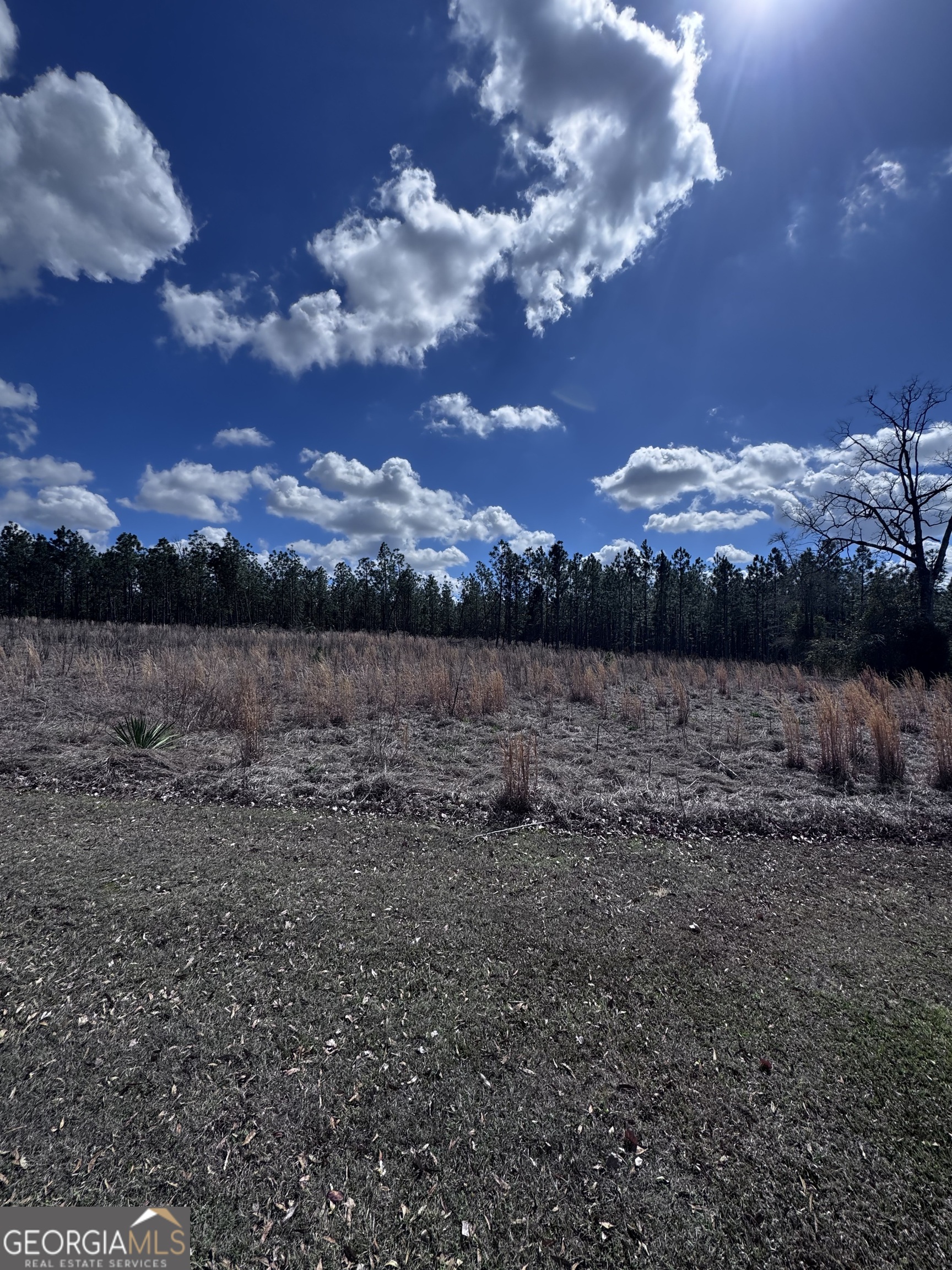 Lot 2 Thompsons Level Road Lyons GA 30436