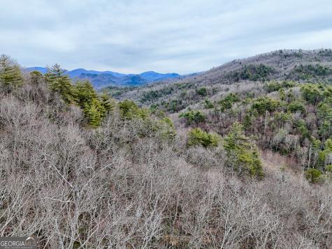 Lot 121 Doolittle Drive Clayton GA 30525