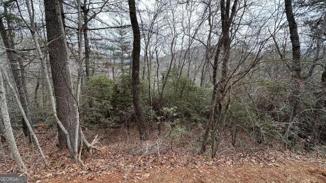 Lot 121 Doolittle Drive Clayton GA 30525