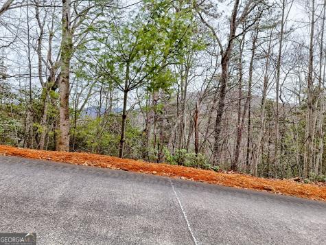 Lot 121 Doolittle Drive Clayton GA 30525