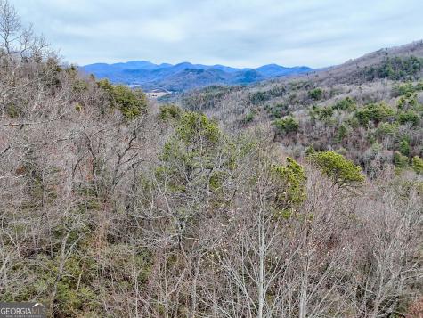 Lot 121 Doolittle Drive Clayton GA 30525
