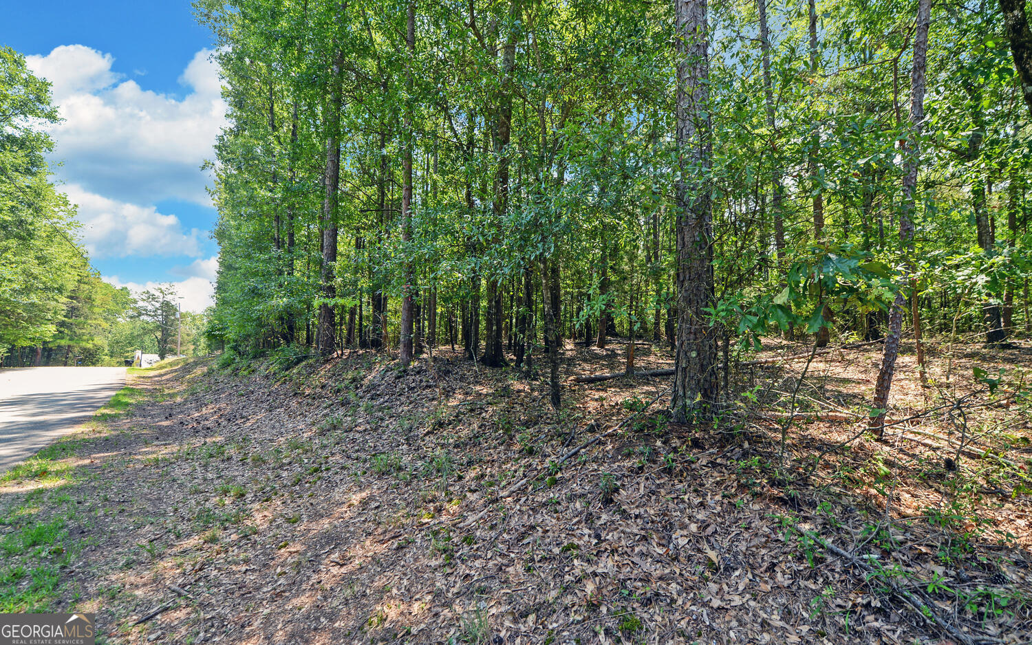 0 Lot 3 Reed Creek Point Hartwell GA 30643