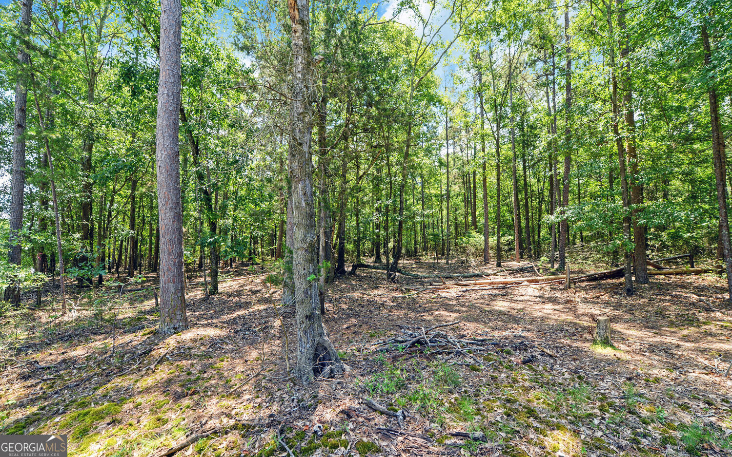 0 Lot 3 Reed Creek Point Hartwell GA 30643