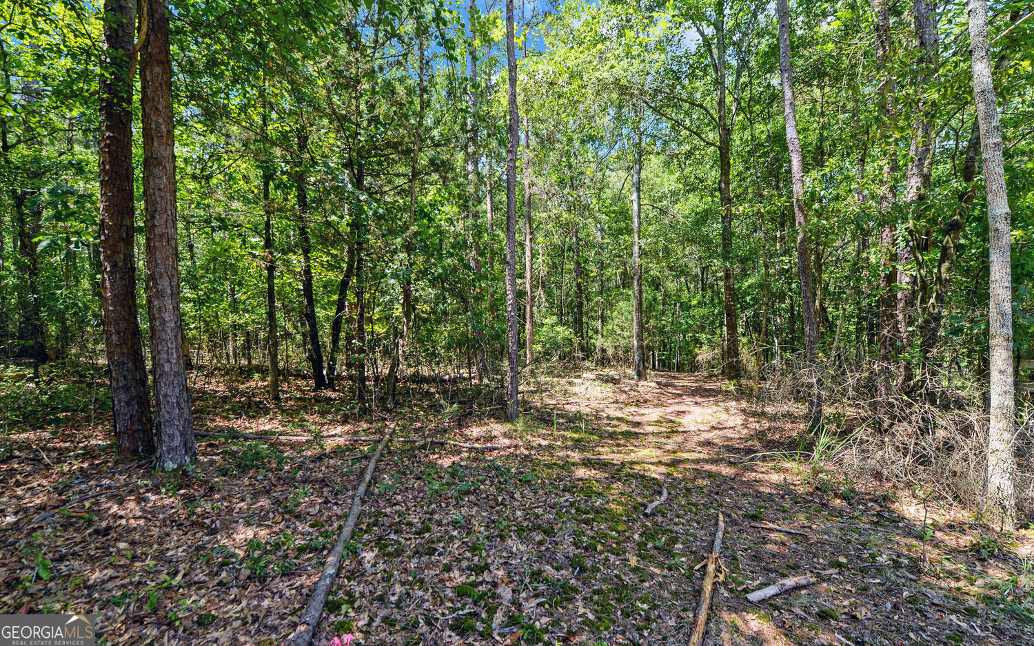 0 Lot 3 Reed Creek Point Hartwell GA 30643