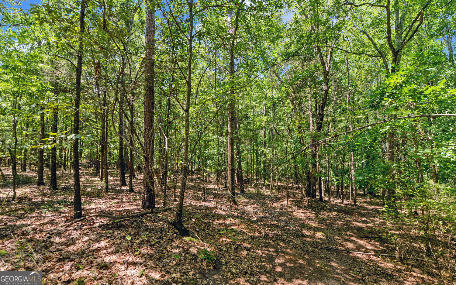 0 Lot 3 Reed Creek Point Hartwell GA 30643