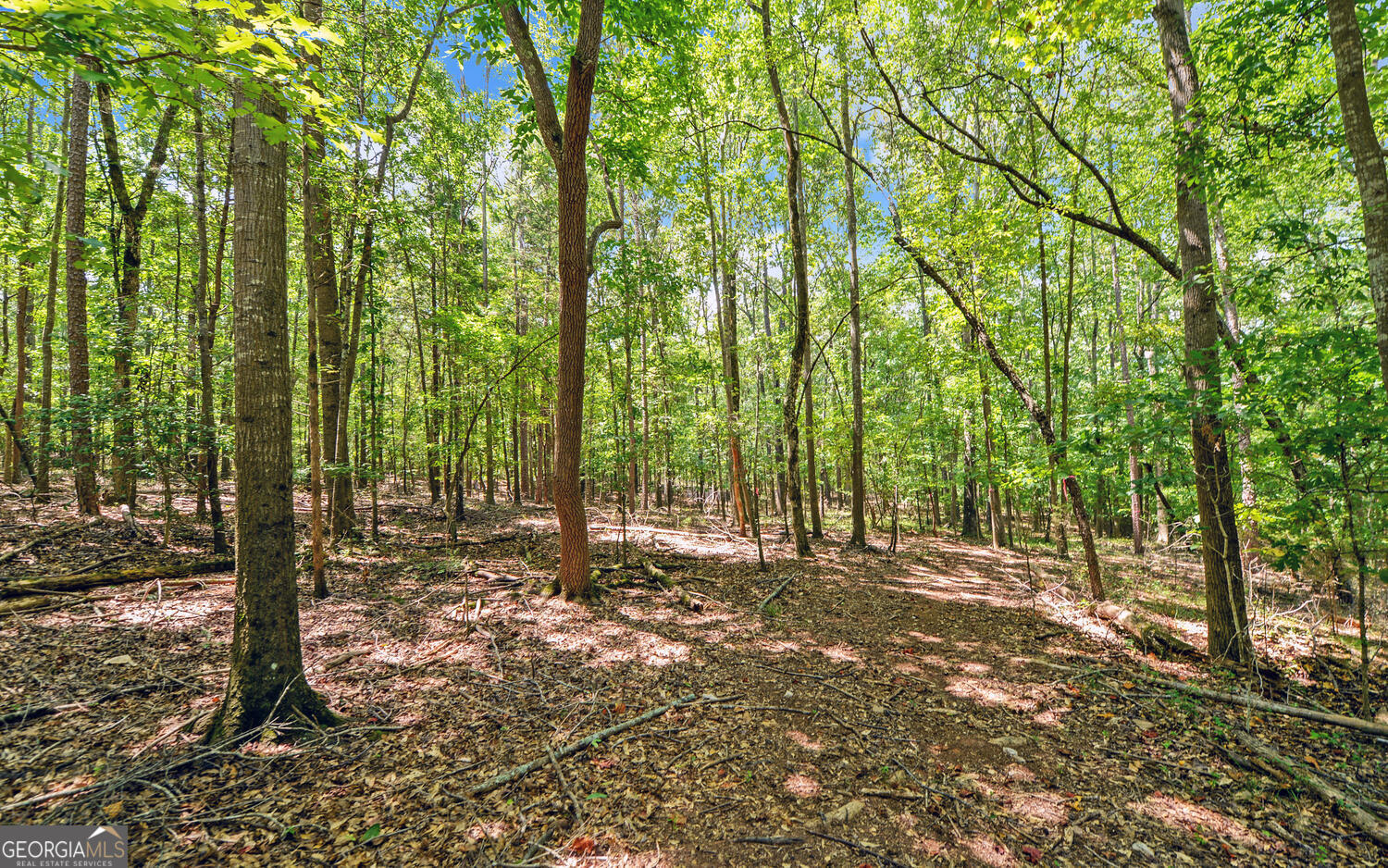 0 Lot 3 Reed Creek Point Hartwell GA 30643