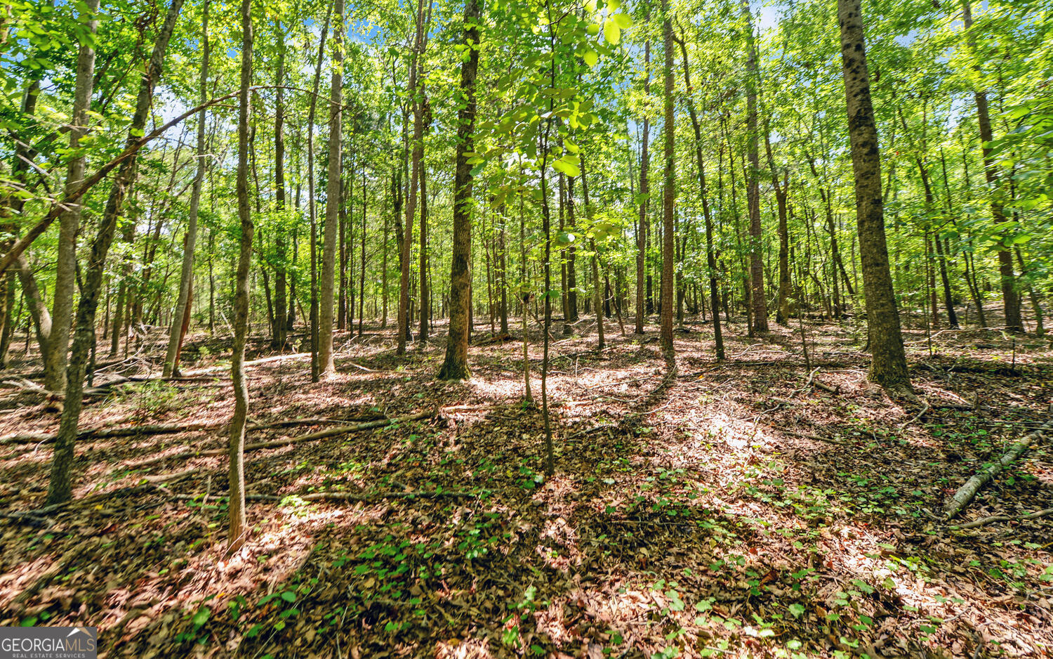 0 Lot 3 Reed Creek Point Hartwell GA 30643
