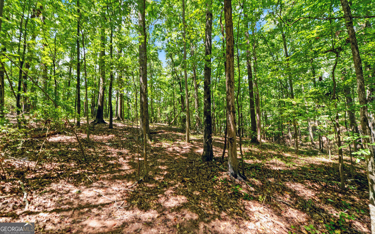 0 Lot 3 Reed Creek Point Hartwell GA 30643