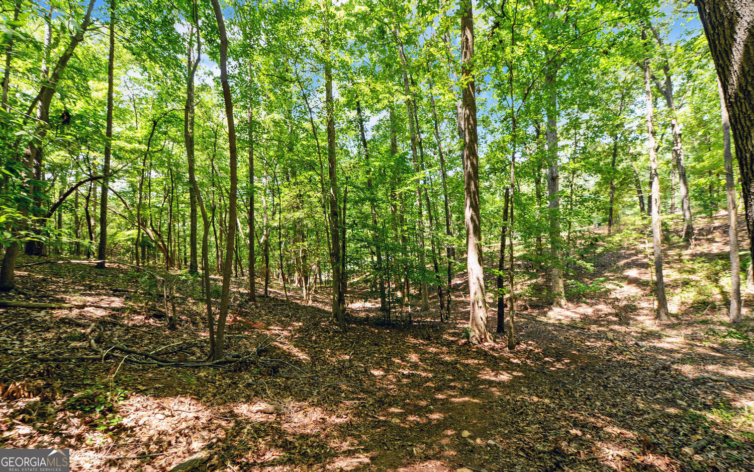 0 Lot 3 Reed Creek Point Hartwell GA 30643