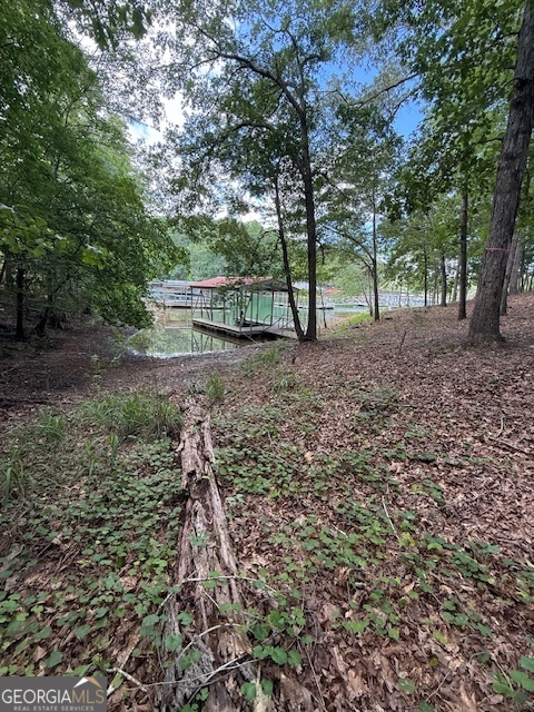0 Lot 3 Reed Creek Point Hartwell GA 30643
