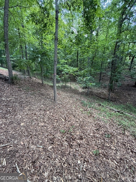 0 Lot 3 Reed Creek Point Hartwell GA 30643