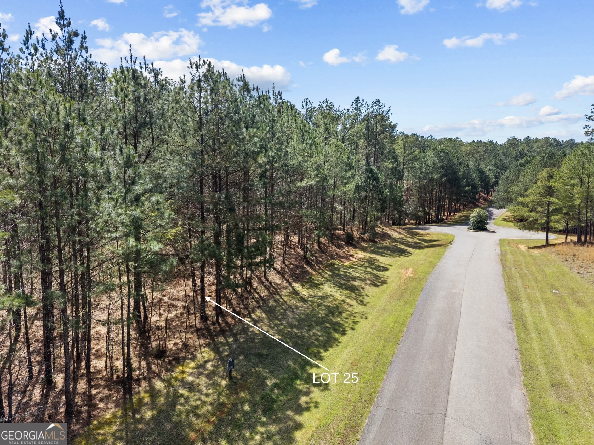 Lot 25 Apalachee Meadows Drive Madison GA 30650