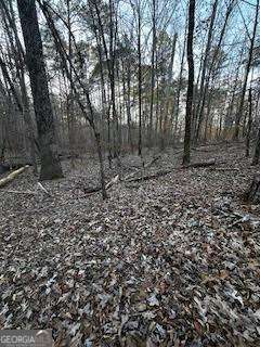 0 River Ridge Trail Sparta GA 31087