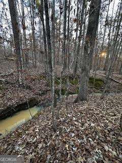 0 River Ridge Trail Sparta GA 31087