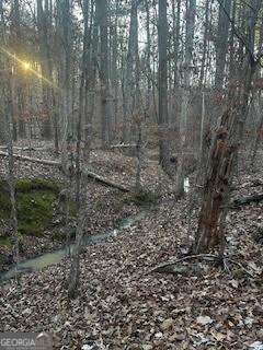 0 River Ridge Trail Sparta GA 31087