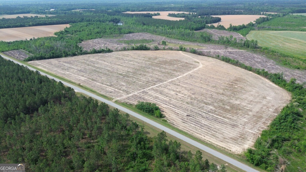 0 Bunn Store Road Midville GA 30441