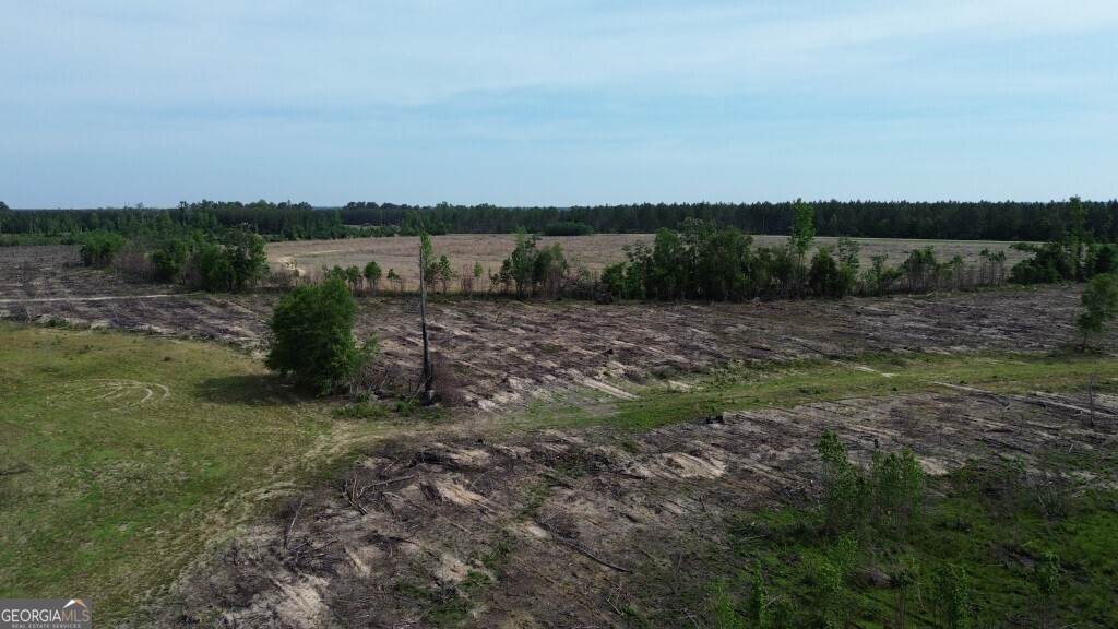 0 Bunn Store Road Midville GA 30441
