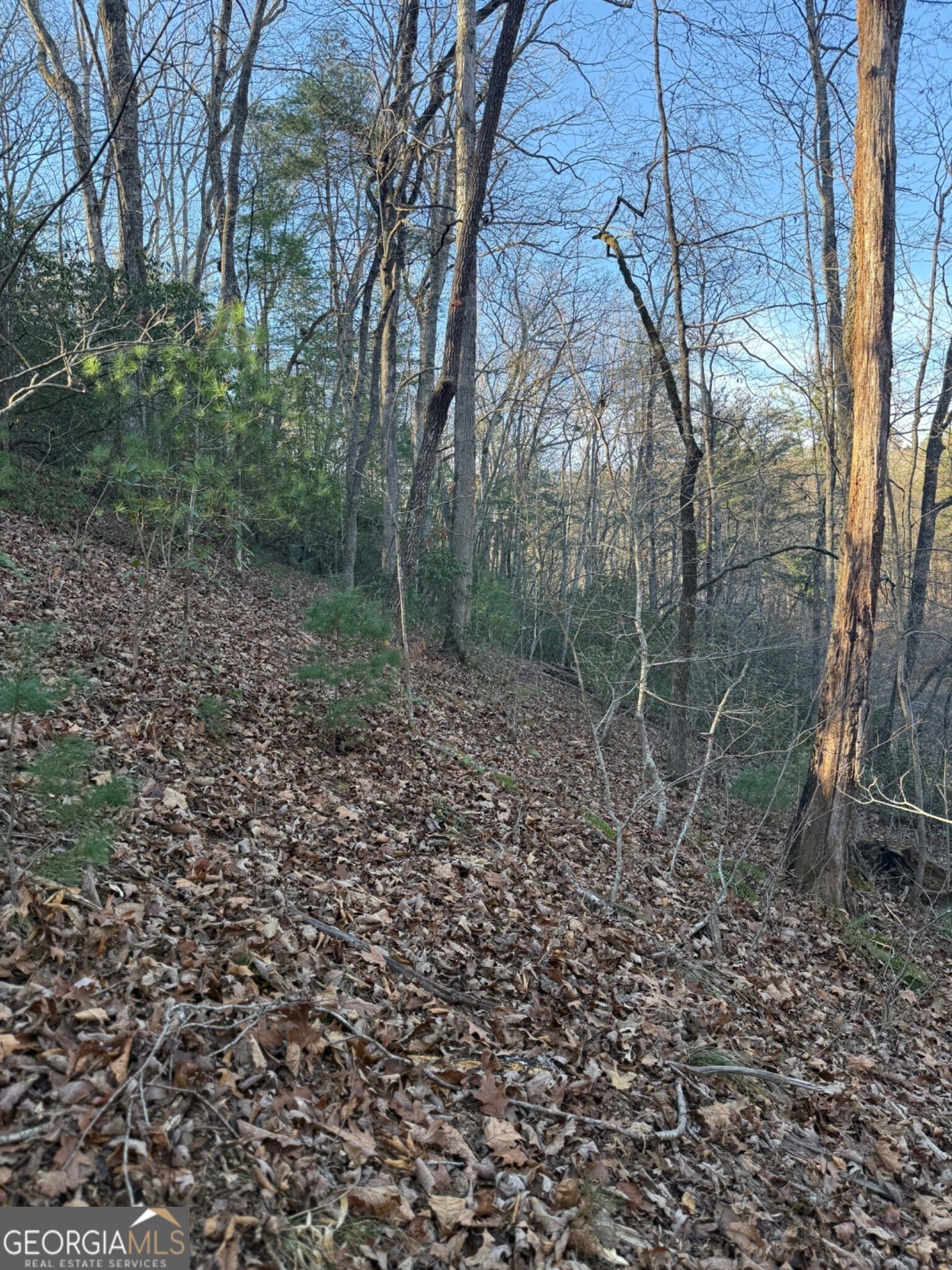 15 Mountain Gate Cleveland GA 30528