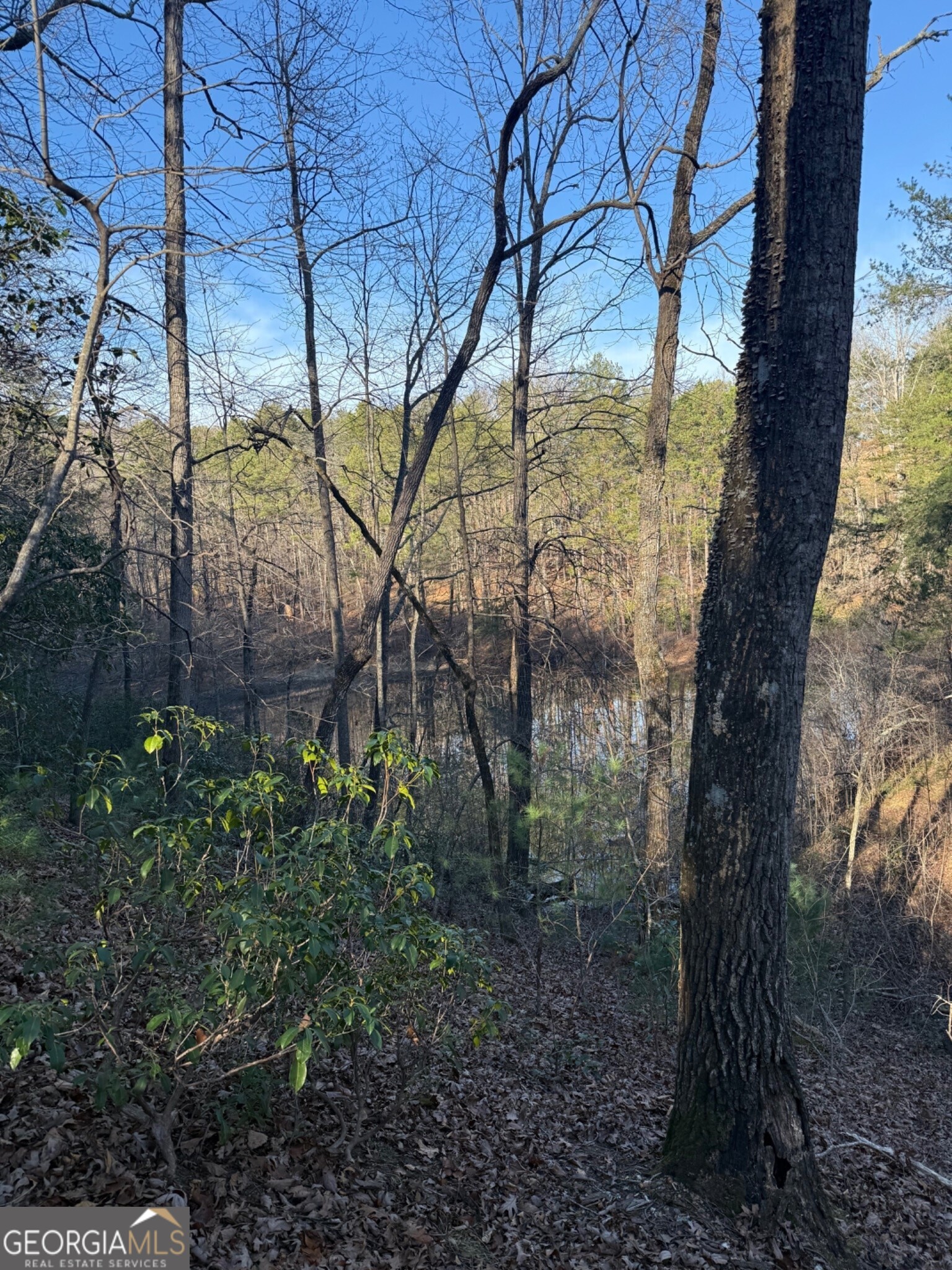 15 Mountain Gate Cleveland GA 30528
