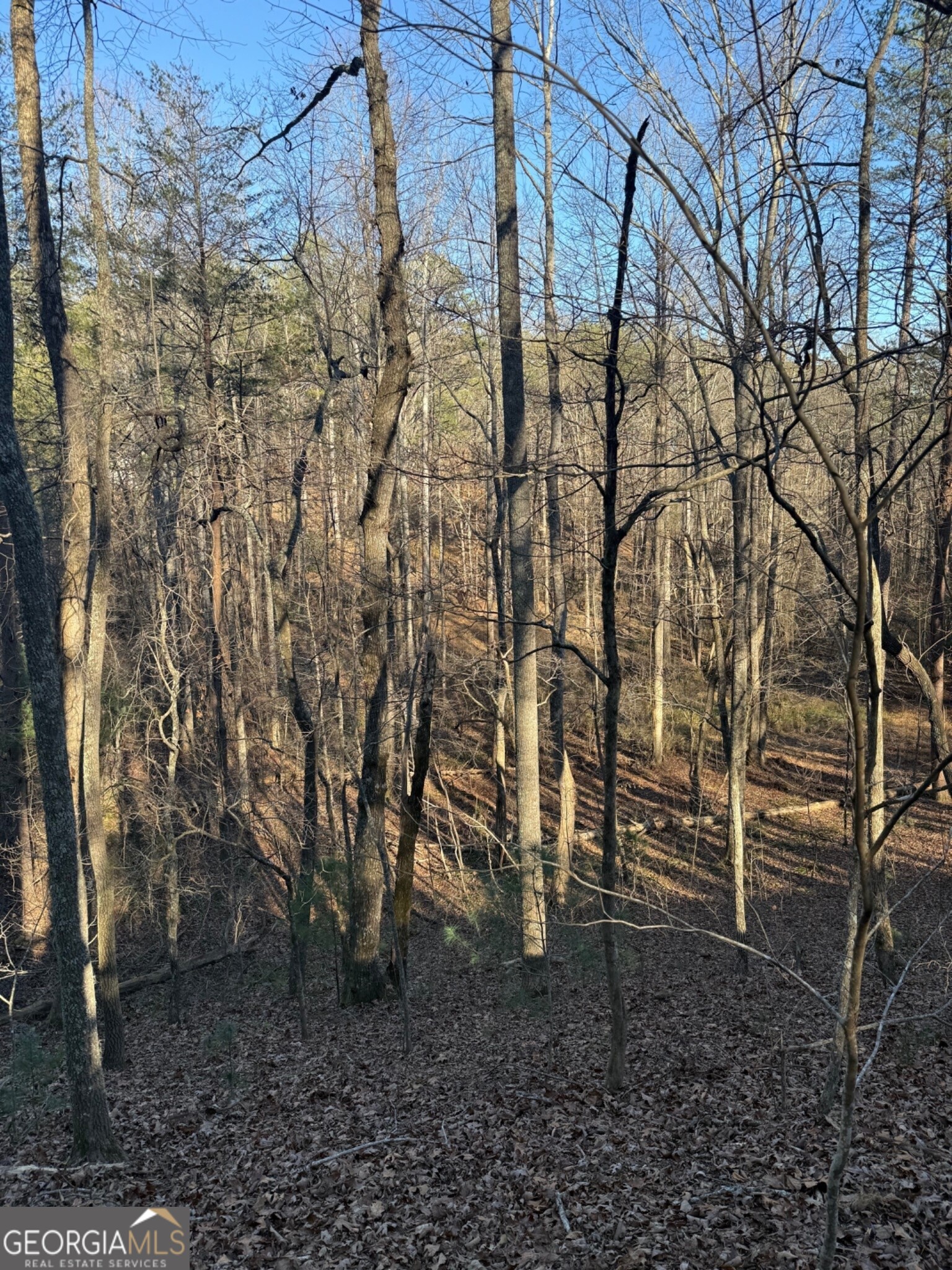 15 Mountain Gate Cleveland GA 30528