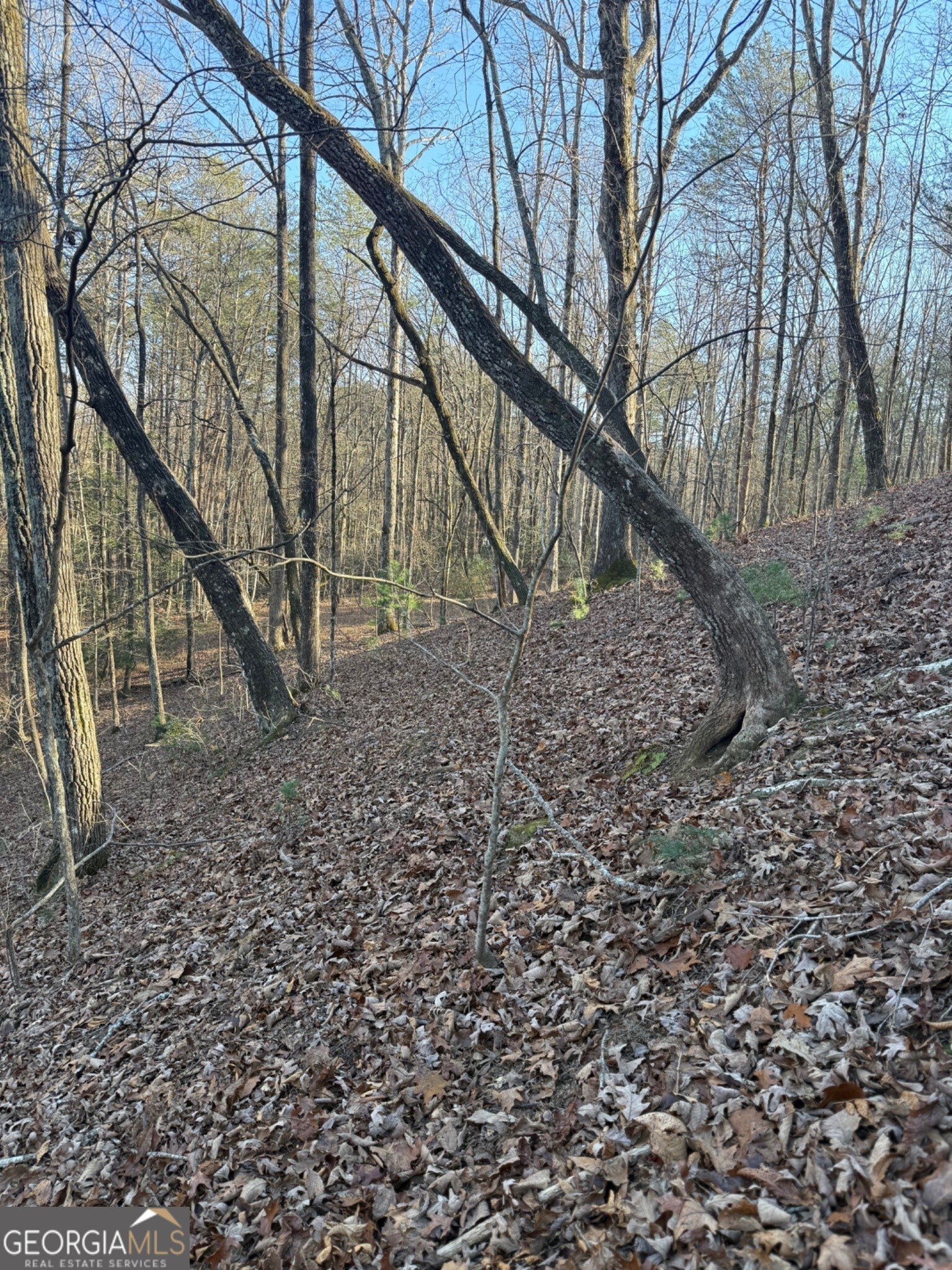 15 Mountain Gate Cleveland GA 30528