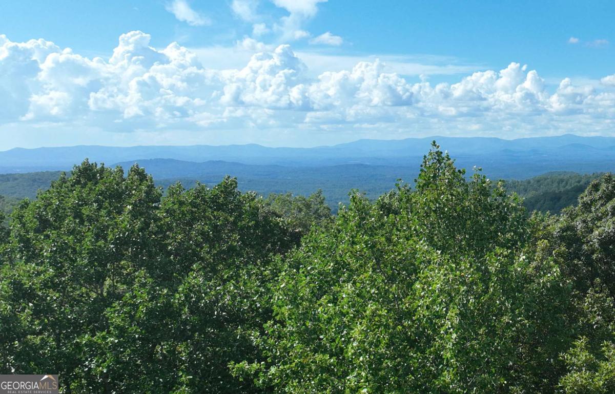 31 Highline Drive Ellijay GA 30536
