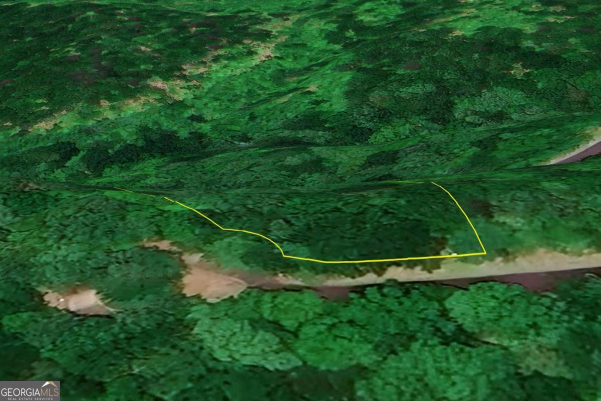 31 Highline Drive Ellijay GA 30536