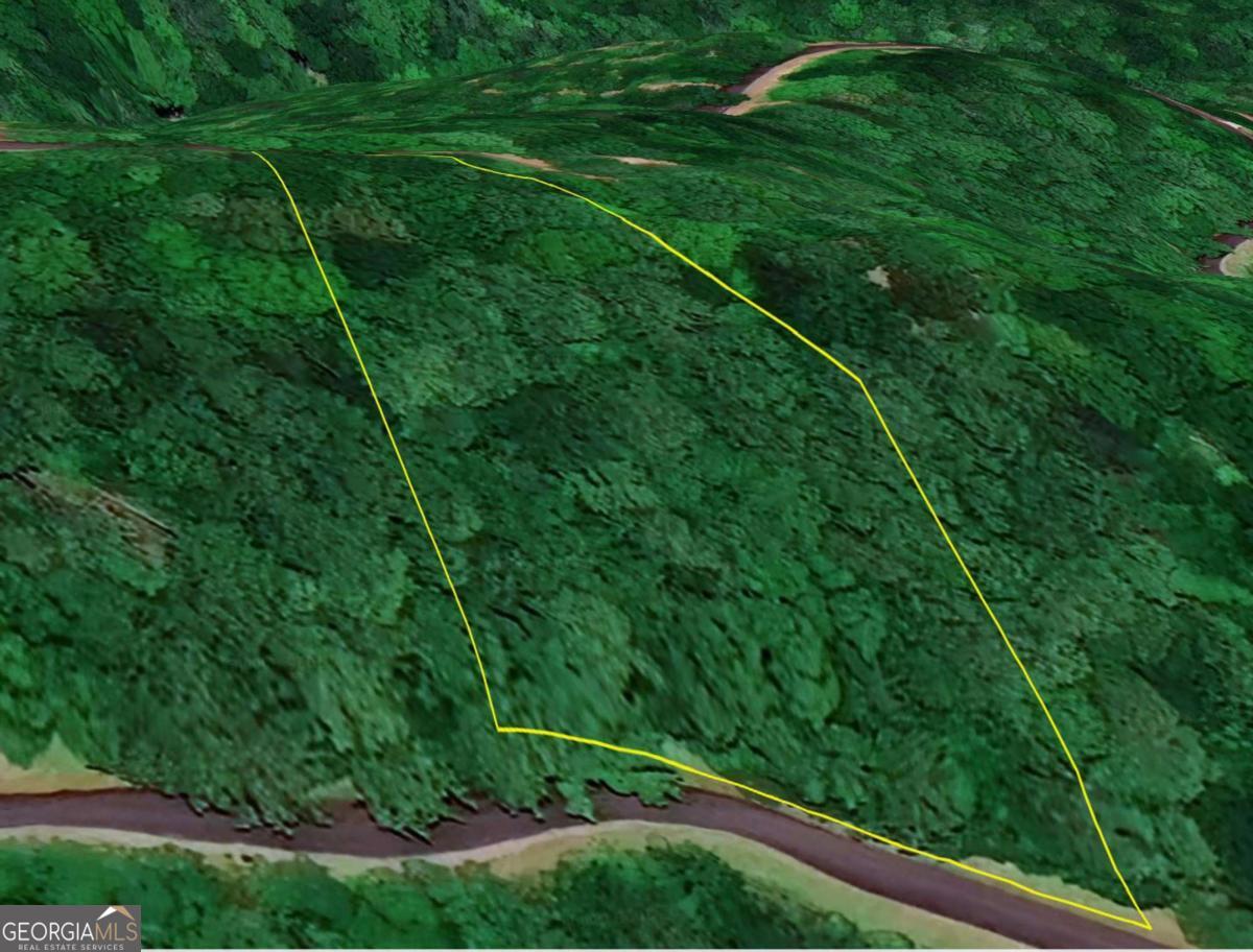 31 Highline Drive Ellijay GA 30536
