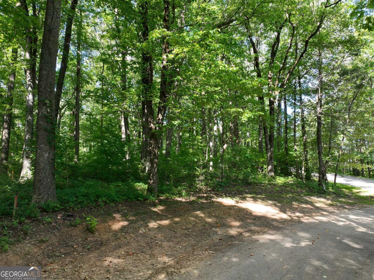 31 Highline Drive Ellijay GA 30536