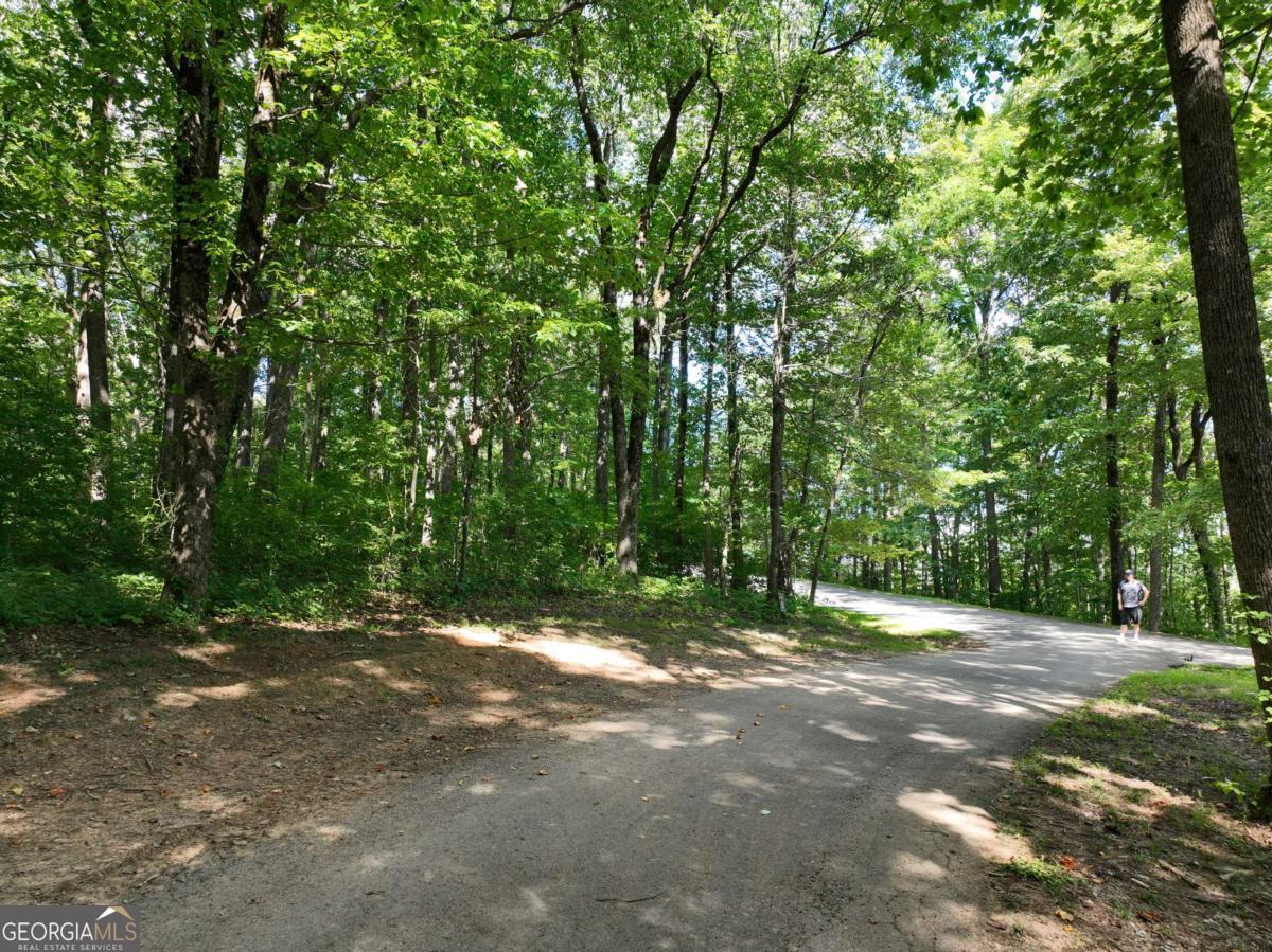 31 Highline Drive Ellijay GA 30536